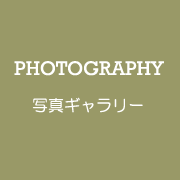 Photography